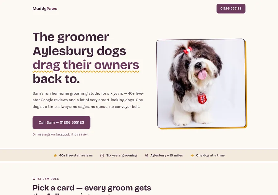 The Professional version of the same site — a bespoke layout with photography, a chunky display typeface, hand-drawn underline and illustrated trust strip